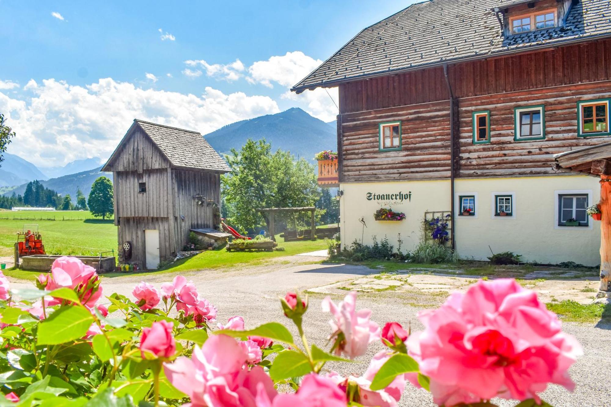 Stoanerhof Apartment Schladming Ngoại thất bức ảnh